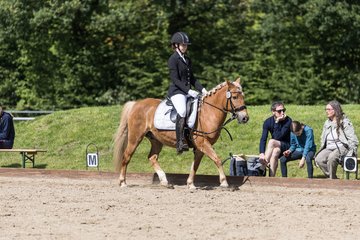 Bild 561 - Pony Akademie Turnier